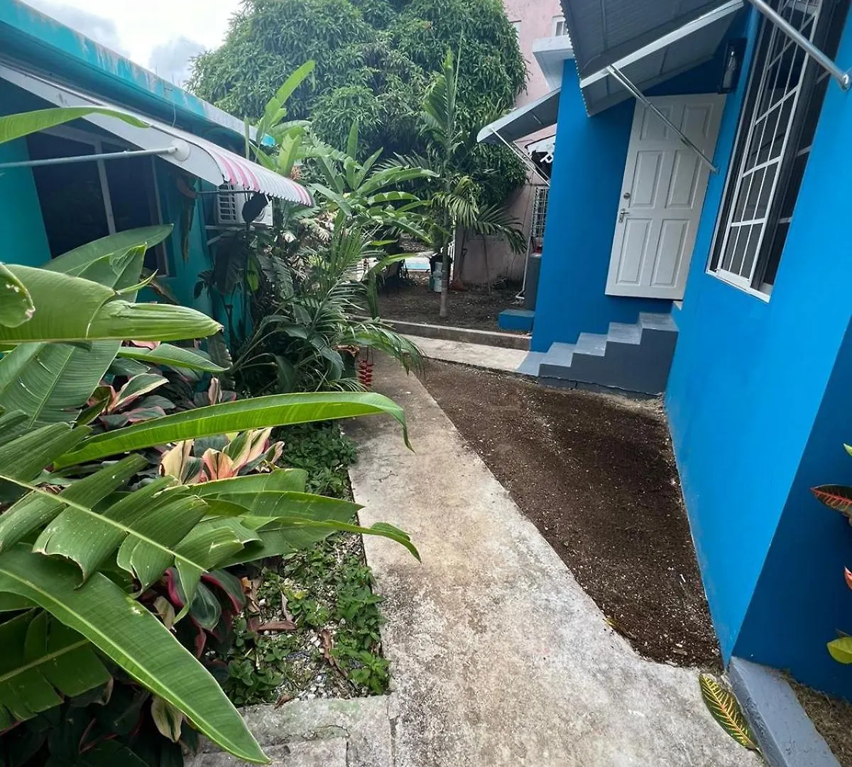 The Polo Club At Racquet Club Apartment Montego Bay Jamaica