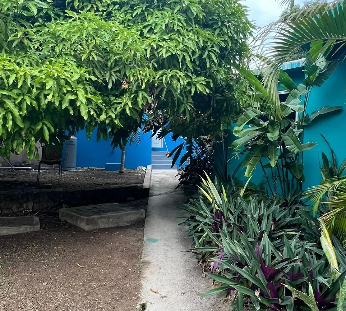 The Polo Club At Racquet Club Apartment Montego Bay